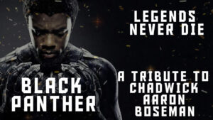 Read more about the article The sad demise of Black Panther: Wakanda Forever
