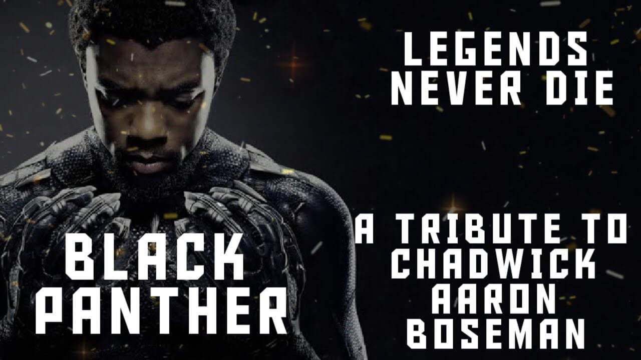 You are currently viewing The sad demise of Black Panther: Wakanda Forever